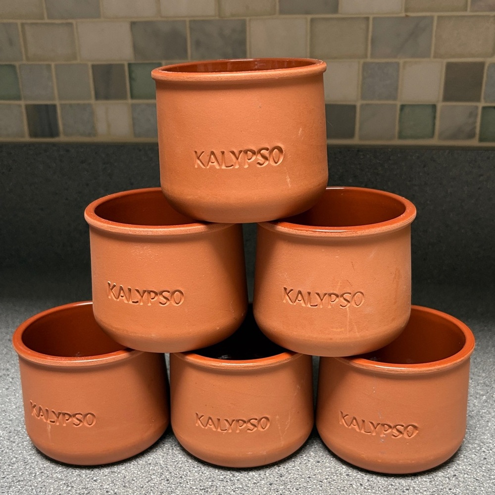 Terracotta Succulent  Cups / Planters Set of 6